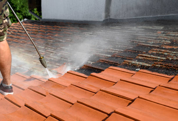 Best Affordable Pressure Washing  in Monon, IN