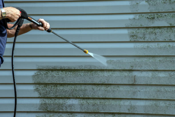 Best House Pressure Washing  in Monon, IN